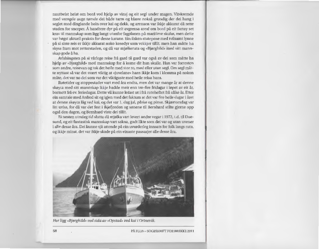 På Flua Årbok for Brekke Sogelag 2011_Page_15